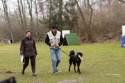 20150301-Ka-IMG6608-NZB-Negro-Lobo