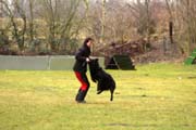 20150301-Ka-IMG6749-NZB-Negro-Lobo