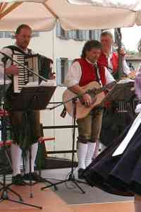 20110528-GM-IMG6308-Weilersteusslingen-Musiker