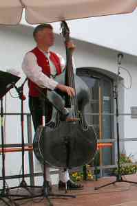 20110528-GM-IMG7342-Weilersteusslingen-Musiker