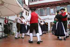 20110528-GM-IMG7350-Weilersteusslingen