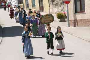 20110529-GM-IMG8738-Festzug-TrachtengildeRiedlingen