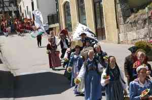 20110529-GM-IMG8743-Festzug-Fahnenschwinger