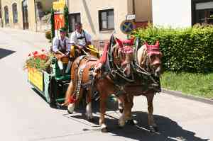 20110529-GM-IMG8823-Festzug-Pferdewagen