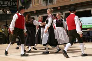 G20080531-IMG0038-Weilersteusslingen-Muehlenpolka