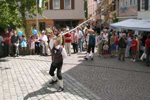 G20080531-IMG0166-HohenloherGau-Peitsche