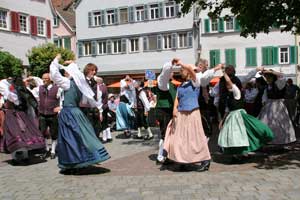 G20080531-IMG0189-HohenloherGau.jpg