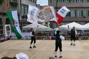 G20080531-IMG1482-HohenloherGau-Fahnen