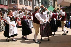 G20080601-IMG1786-Neckarhausen