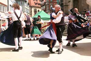 G20080601-IMG1851-HohenloherGau