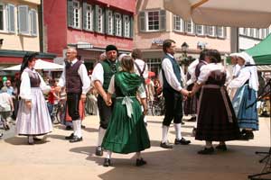 G20080601-IMG1858-HohenloherGau