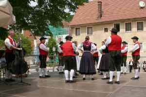 G20100612-IMG8069-Weilersteusslingen-Oxdans