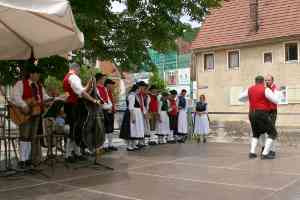 G20100612-IMG8073-Weilersteusslingen-Oxdans