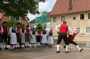 G20100612-IMG8078-Weilersteusslingen-Oxdans