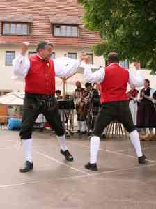 G20100612-IMG8083-Weilersteusslingen-Oxdans