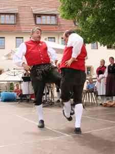 G20100612-IMG8087-Weilersteusslingen-Oxdans